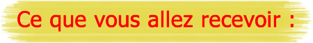Ce que vous allez recevoir